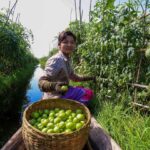 The world is waging a ‘war on nature’ as progress on biodiversity targets lags