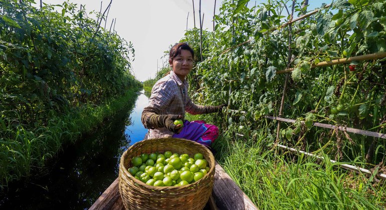 The world is waging a ‘war on nature’ as progress on biodiversity targets lags