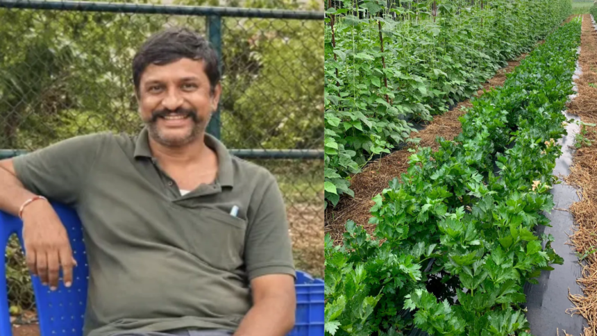 Karnataka Farmer Learnt Organic Farming Online, Now Earns Up To Rs 25 Lakh A Year