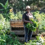 Soil mapping aims to boost agricultural production in Kenya