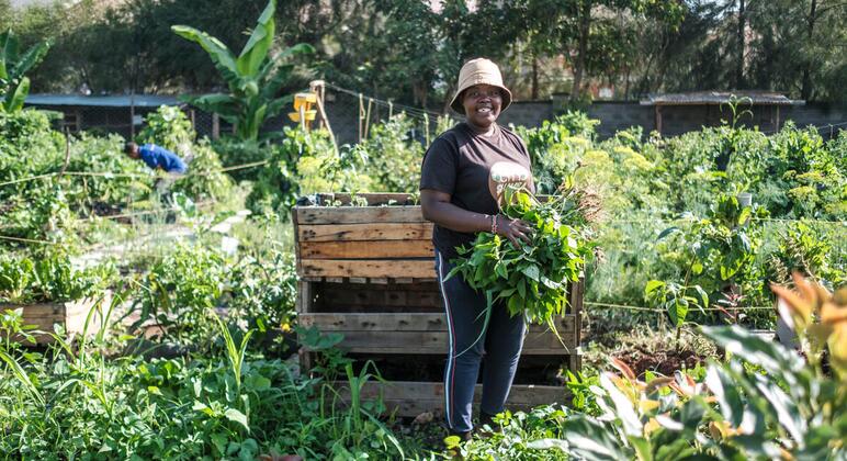 Soil mapping aims to boost agricultural production in Kenya