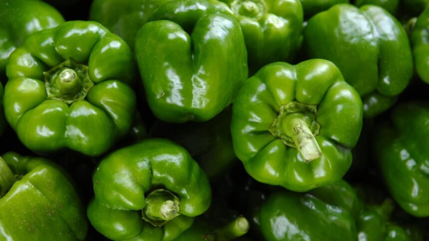 Easy Capsicum Storage Tips To Prevent Wilting And Spoilage