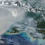Fires Char New Guinea - NASA Science